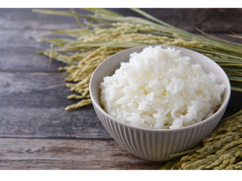 令和4年産“無洗米“とちぎの星”大嘗祭献上米20kg お米食味ランキング獲得 令和4年産“無洗米“とちぎの星”大嘗祭献上米10kg お米食味