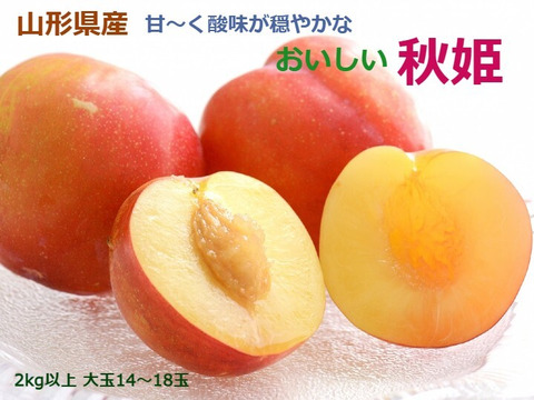 プラム すもも 秋姫 大玉2.0kg以上～  糖度15度超 秋の果物 酸味が穏やか 山形産