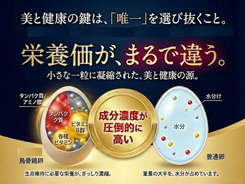 【とろける美味しさ】 烏骨鶏 20個 (破損保証付) 希少なアルカリ性卵 | 箸で掴める濃厚さ | 贈答品質を食卓へ 卵かけご飯 ギフトバック付き
