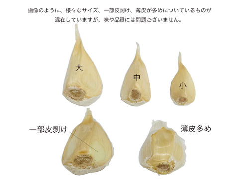 【有機JAS】にんにく(バラ）　500g　R6年産　＜農薬・化学肥料・除草剤不使用＞