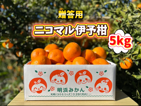 🍊香り推し🍊伊予柑　贈答用 5kg