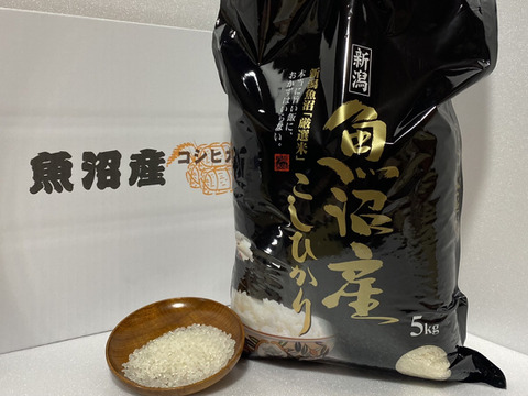 🌾新米】令和6年魚沼産コシヒカリ 精米 農家のお米 5kg：新潟県