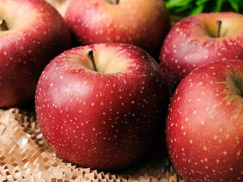 2025年度予約始めます🙇このりんご絶対食べて欲しい‼️甘くて芳醇な香り🍎千雪りんご3キロ