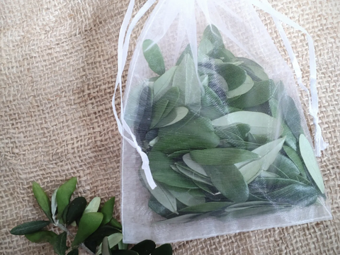 オリーブ生葉300枚  オリーブリーフ🌿オーガンジー袋入り🌿葉っぱ部のみ🌿オリーブ茶 オリーブティー ハーブティー 🏣ゆうパック