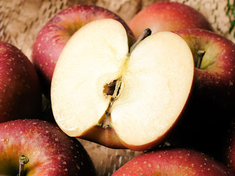 2025年度予約始めます🙇このりんご絶対食べて欲しい‼️甘くて芳醇な香り🍎千雪りんご3キロ