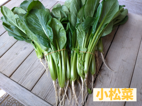 野菜嫌いでも食べられる【ほうれん草＆小松菜（各1kg）】《漢方栽培