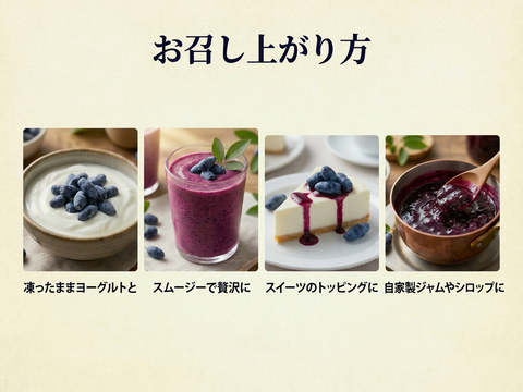 特別な贈り物に！希少ハスカップ3種贅沢食べ比べギフト 600g（150g×4P 北海道厚真町産）