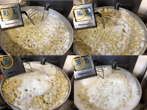 【茹で大豆】簡単・選べる味噌造りセット（3.8㎏出来上がり）【作り方説明つき】