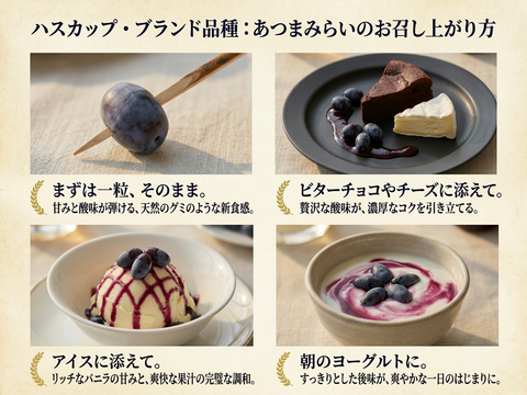 濃厚で爽やか！希少ハスカップ2種食べ比べセット 1kg（あつまみらい・ゆうしげ各500g 北海道厚真町産）