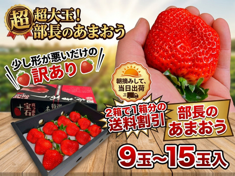 【2箱購入で、送料割引】超大玉訳あり あまおう【部長のあまおう】9玉～15玉入 約420g×2箱 苺(イチゴ)の王様 甘王 いちご あるファームより産地直送