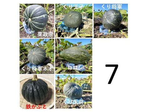 【冬ギフト】冬を楽しむ新鮮な野菜セット（５種類以上）＜内熨斗のみ可＞