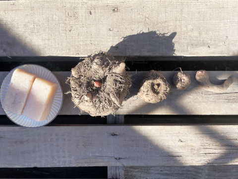 みんなお待たせ！『期間限定』皮ごと新芋生芋こんにゃく6個