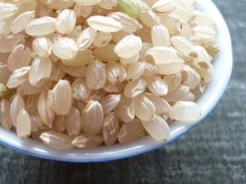 玄米　2.5Kg×2「Riki-Saku」コシヒカリ　真空パック　新潟県秋山農場産。農薬使用量は慣行栽培の9割減。安心してお召し上がりいただける玄米です。