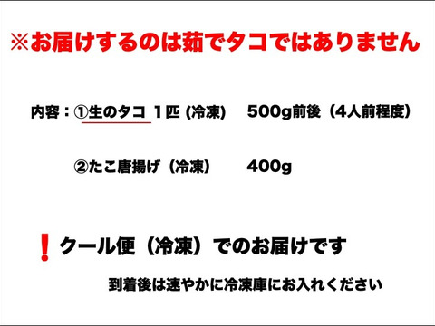 人気のたこセット 丸ごと1匹タコ 超柔らかタコ唐揚げ 愛知県産 食べチョク 農家 漁師の産直ネット通販 旬の食材を生産者直送 人気のたこセット 丸ごと1匹タコ 超柔らかタコ唐揚げ 愛知県産 食べチョク 農家 漁師の産直ネット通販 旬の食材を生産者直送