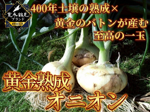 【日テレ出演で話題】黄金の甘さを継ぐ『黄金熟成オニオン』熟成が生む深い甘みのブランド玉ねぎ🧅お試しキャンペーン約1kg
