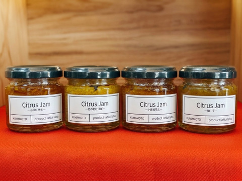 【数量限定】熊本県産・農家直送のジャム 選べる3本セット