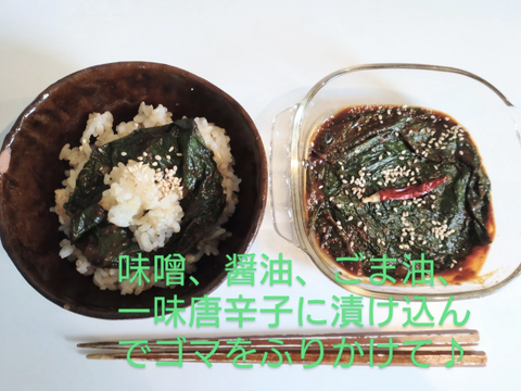 えごまの葉 えごまの葉 枝付きエゴマの葉 30枚☆※常温発送：石川県産の野菜