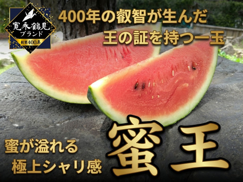 【女性に大人気の蜜シャリ食感】ご褒美時間を彩る至高の果実🍉 極限集中栽培で生まれた唯一無二の寛永鶴見ブランドスイカ🍉『蜜王』【7月中旬予約】