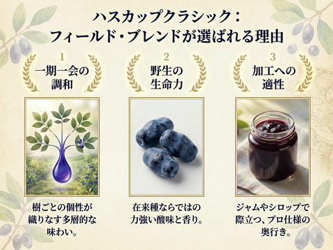 特別な贈り物に！希少ハスカップ3種贅沢食べ比べギフト 600g（150g×4P 北海道厚真町産）
