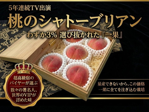 世界の果てまでイッテQ!紹介🍑1000個中1個の幻🍑今話題沸騰中の幻のシャトーブリアン桃🍑1本の樹からわずか3%しか取れない圧倒的糖度幻の桃5個【贈答用箱入り】【朝どれ】🍑6月下旬予約🍑