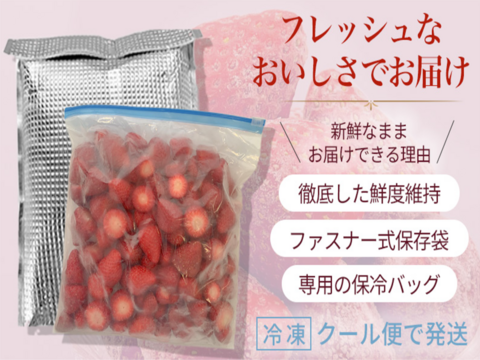 【❄️冷凍いちご3kg（1kg×3袋）】【古都華】そのまま食べれる新鮮バラ冷凍✨【贅沢いちごを瞬間冷凍🍓】