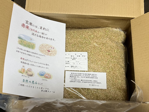 【令和７年産】低農薬栽培米　コシヒカリ　玄米　１０kg（真空袋５kg×２袋）