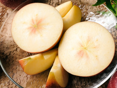 2025年度予約始めます🙇このりんご絶対食べて欲しい‼️甘くて芳醇な香り🍎千雪りんご6キロ