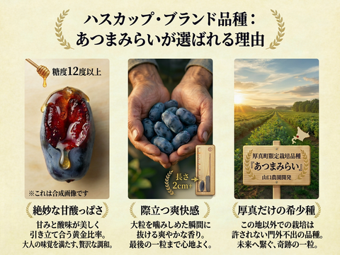 特別な贈り物に！希少ハスカップ3種贅沢食べ比べギフト 600g（150g×4P 北海道厚真町産）