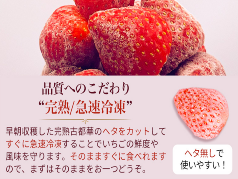 【❄️冷凍いちご1kg】【古都華】そのまま食べれる新鮮バラ冷凍✨【贅沢いちごを瞬間冷凍🍓】