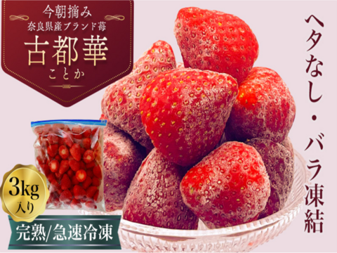 【❄️冷凍いちご3kg（1kg×3袋）】【古都華】そのまま食べれる新鮮バラ冷凍✨【贅沢いちごを瞬間冷凍🍓】