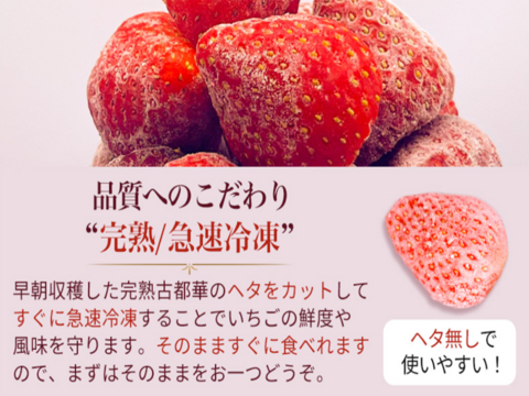 【❄️冷凍いちご2kg（1kg×2袋）】【古都華】そのまま食べれる新鮮バラ冷凍✨【贅沢いちごを瞬間冷凍🍓】