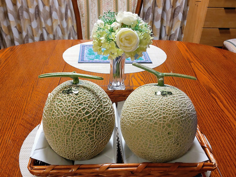 家庭用温室マスクメロン【良】約2.8㎏　2玉　愛知県豊橋産