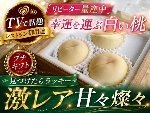 🎊全国桃グランプリ3冠小野桃園ブランド🎊見つけたら超ラッキー甘甘燦々🍑一流レストラン御用達約1キロお試しキャンペーン【朝どれ】【夏ギフト】8月下旬予約