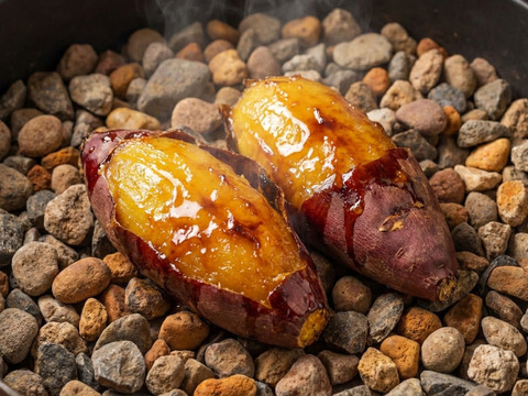 【5年連続TV出演の実力】🍠まずお目にかかれない一年熟成🍠糖度50度オーバー『シャトーブリアン焼き芋』お試しキャンペーン約1kg