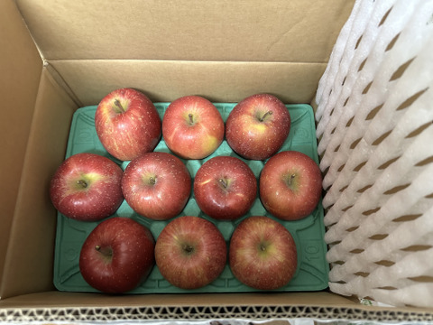 2026年度産予約開始🍎青森県産葉取らず完熟ふじ約6kg‼️