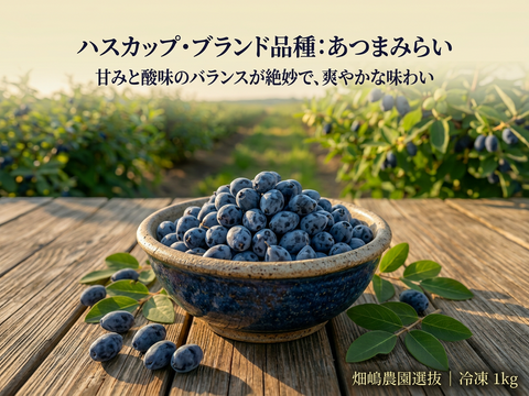 【冷凍ハスカップ1kg】畑嶋農園あつまみらい 驚きの甘みと爽やかな酸味
