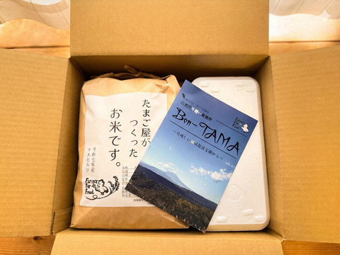 【限定15食】採れたて新鮮！令和7年新米5kg+平飼い卵10個