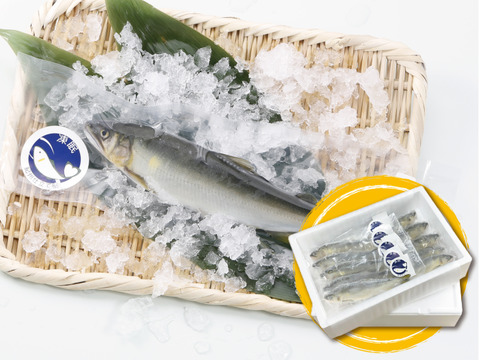 【まとめ買いで送料お得！】紀州仕立て鮎『凍眠』※急速冷凍（大サイズ　１０尾入り）　２箱セット