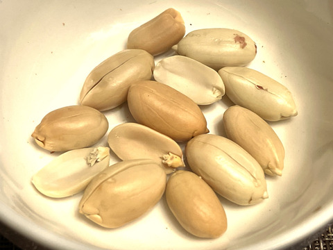 最高級品種「千葉半立落花生」殻付き・生・天日乾燥（煎り落花生用） 群馬県産  160 g