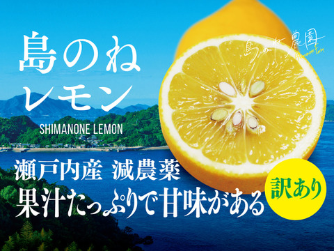 島のねレモン【訳あり/瀬戸内産/国産/サイズ混合/5kg】
