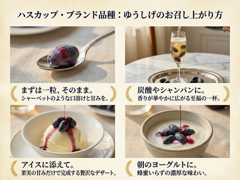 特別な贈り物に！希少ハスカップ3種贅沢食べ比べギフト 600g（150g×4P 北海道厚真町産）