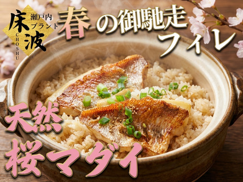 【食卓に品格を添える贅沢量】日常が少し特別になる旬の味🐟天然国産『桜真鯛フィレ』長州床波ブランド上質仕立て約700g【4月上中旬予約】