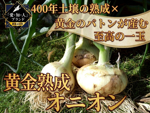 【日テレ出演で話題】黄金の甘さを継ぐ『黄金熟成オニオン』熟成が生む深い甘みのブランド玉ねぎ🧅お試しキャンペーン約1kg
