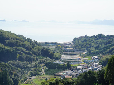 清水果樹園の蔵熟みかん9.5k
熟成されたみかん味わってください