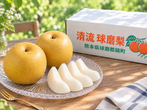今季最後の梨！『清流球磨梨』新興 約10kg【5kg箱(5〜14個入り)を2箱