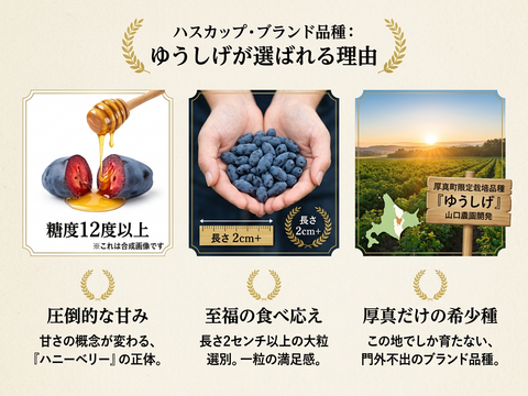濃厚で爽やか！希少ハスカップ2種食べ比べセット 1kg（あつまみらい・ゆうしげ各500g 北海道厚真町産）