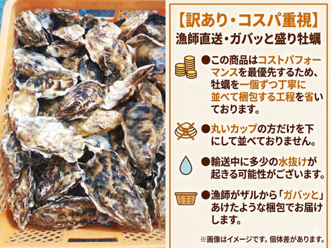 【期間限定10％値引き販売中】🦪 生食用５ｋｇ（30~80粒） 殻付き 牡蠣 牡蛎 殻付き牡蛎 kaki カキ 松島牡蠣屋 生牡蠣にも、BBQに最適🔥 海産物 オイスターA