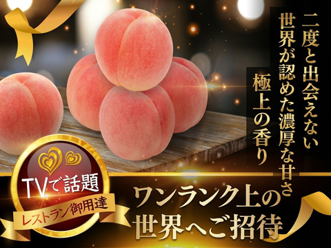 【シンガポールセレブセレブ御用達】🍑おどろき糖度16度以上プレミアム極上桃🍑一流レストラン御用達ワンランク上の完熟桃【贈答用・お中元ギフト】トロリとコクある濃厚な甘さ【朝どれ】🍑7月下旬発送開始🍑