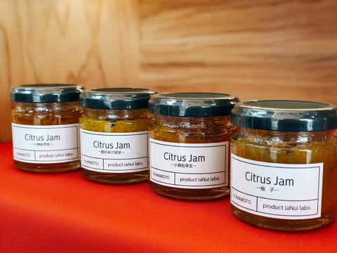 【数量限定】熊本県産・農家直送のジャム 選べる3本セット