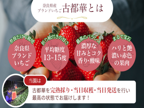 冷凍イチゴ 奈良県特産「古都華」2kg ☆クール冷凍便☆：奈良県